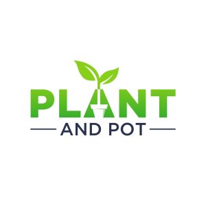 Plant and Pot