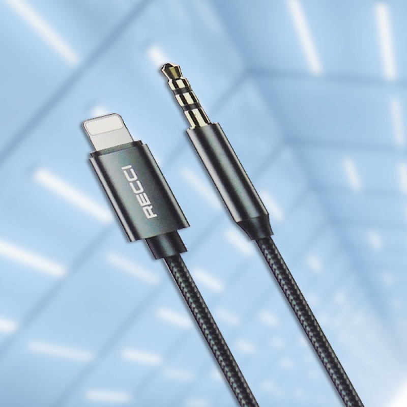 RECCI LIGHTNING TO 3.5 AUX CABLE