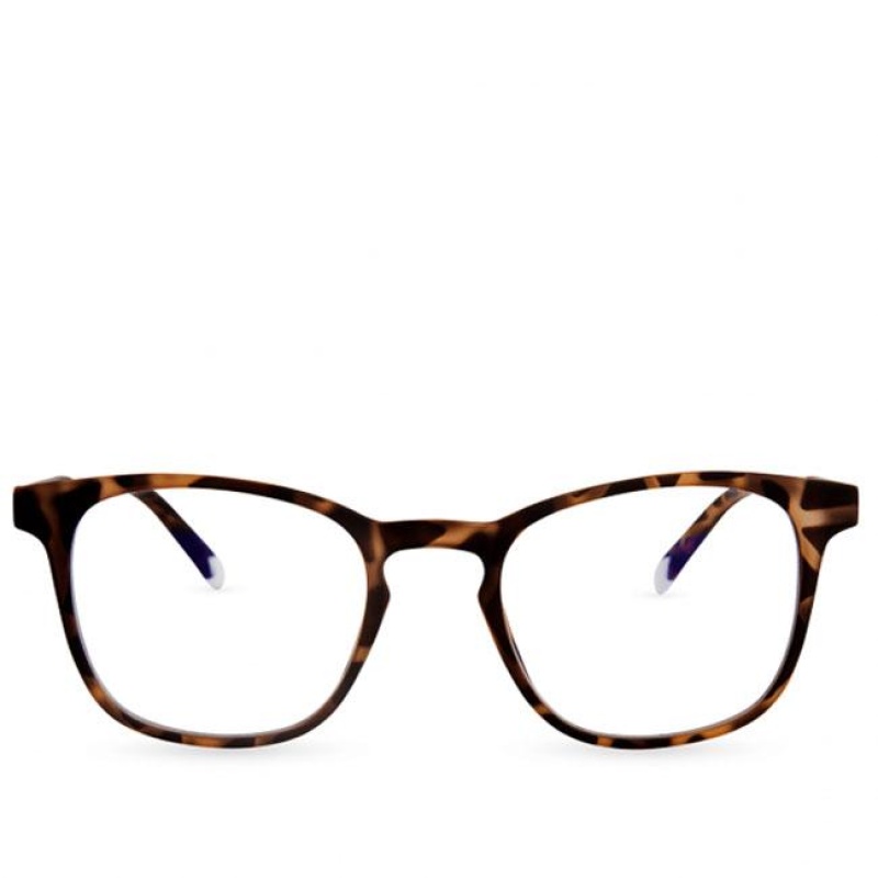 نظارات دالستون من بارنر كيدز - سلحفاة