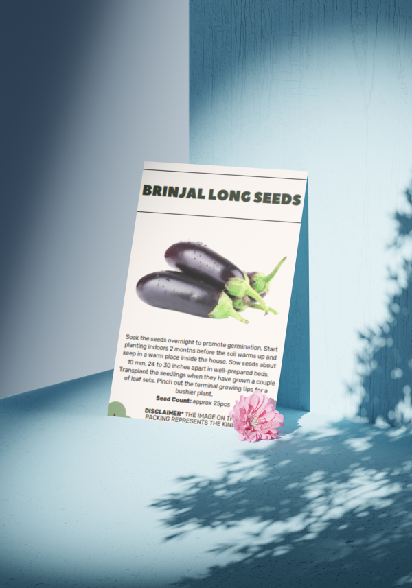 Brinjal Long Seeds - Organic