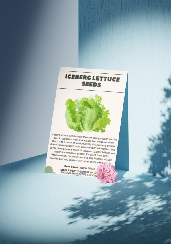 Iceberg Lettuce Seeds - Organic