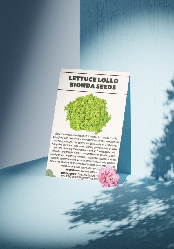 Lettuce Lollo Bionda Seeds - Organic