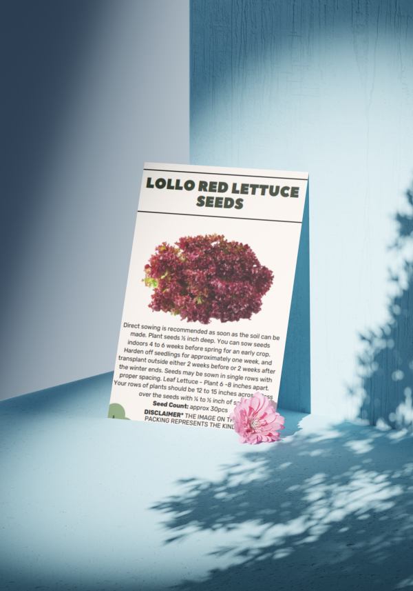 Lollo Red Lettuce Seeds - Organic