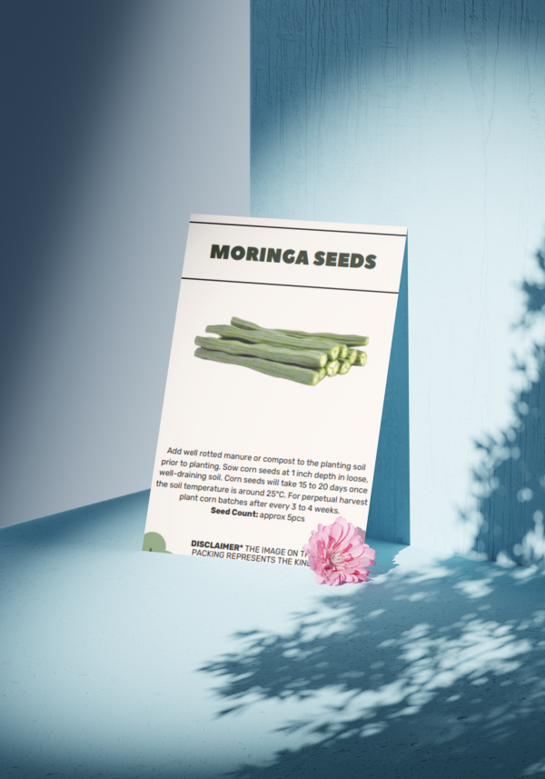 Moringa Seeds - Organic