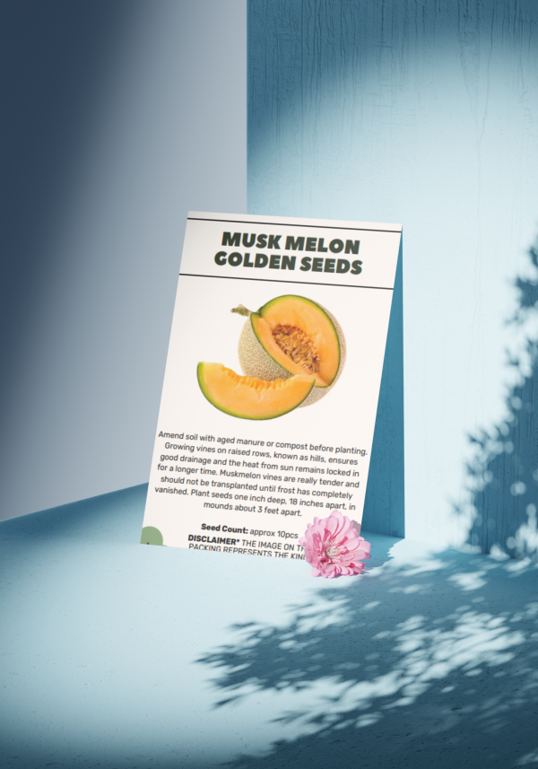 Musk Melon Golden (Orange Flesh) Seeds - Organic