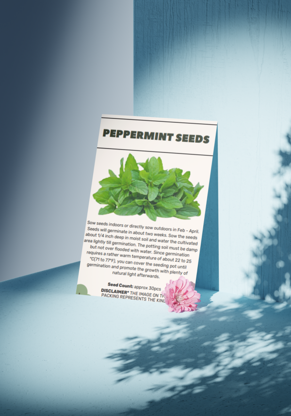 Peppermint Seeds - Organic