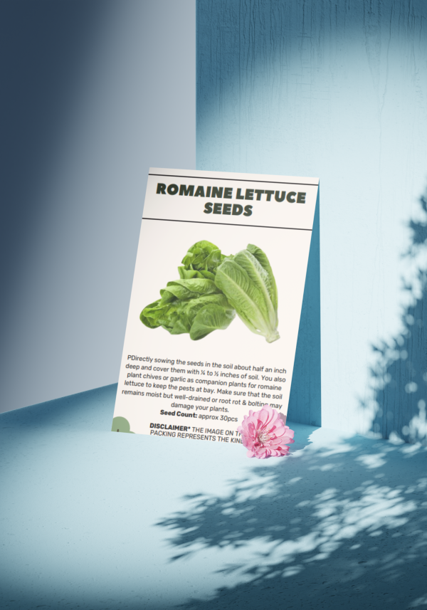 Romaine Lettuce Seeds - Organic