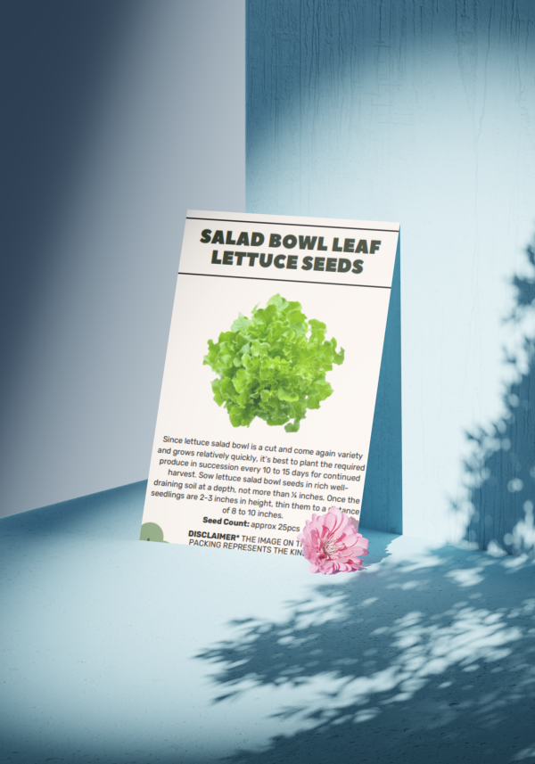 Salad Bowl Leaf Lettuce Seeds - Organic