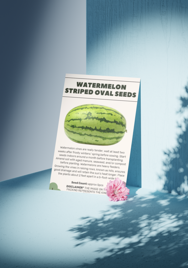 Watermelon Striped Oval Seeds - Organic