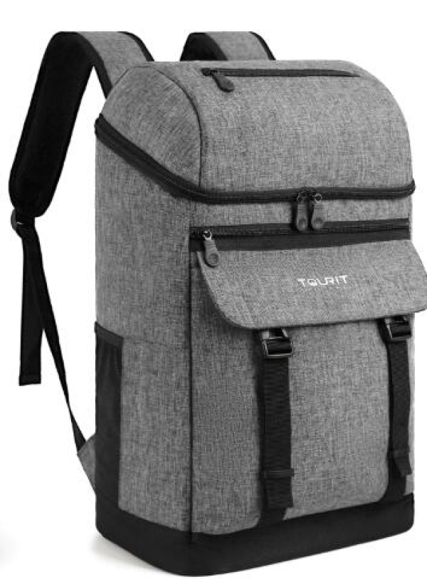 TERNS INSULATED BACKPACK Gray