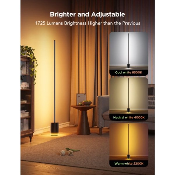 Govee Floor Lamp 2