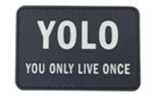 YOLO