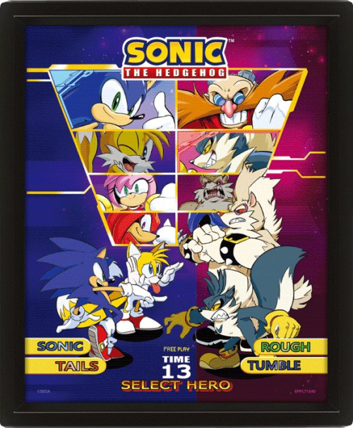 Sonic The Hedgehog Select Your Fighter Framed 3d