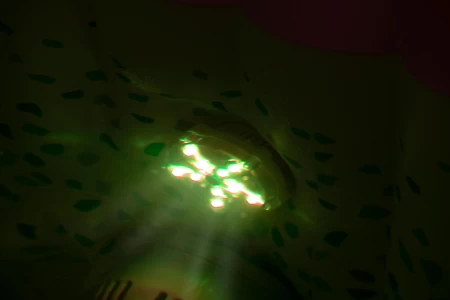 بيست واي - ضوء LED 7 ألوان